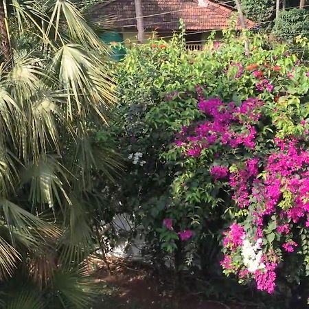 2Bhk Pool Facing Beachside Luxury Homestay In South Goa Беталбатим Экстерьер фото